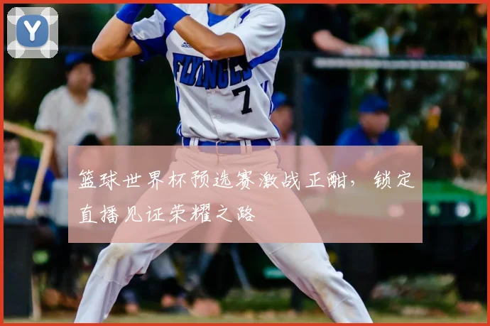 篮球世界杯预选赛激战正酣,锁定直播见证荣耀之路
